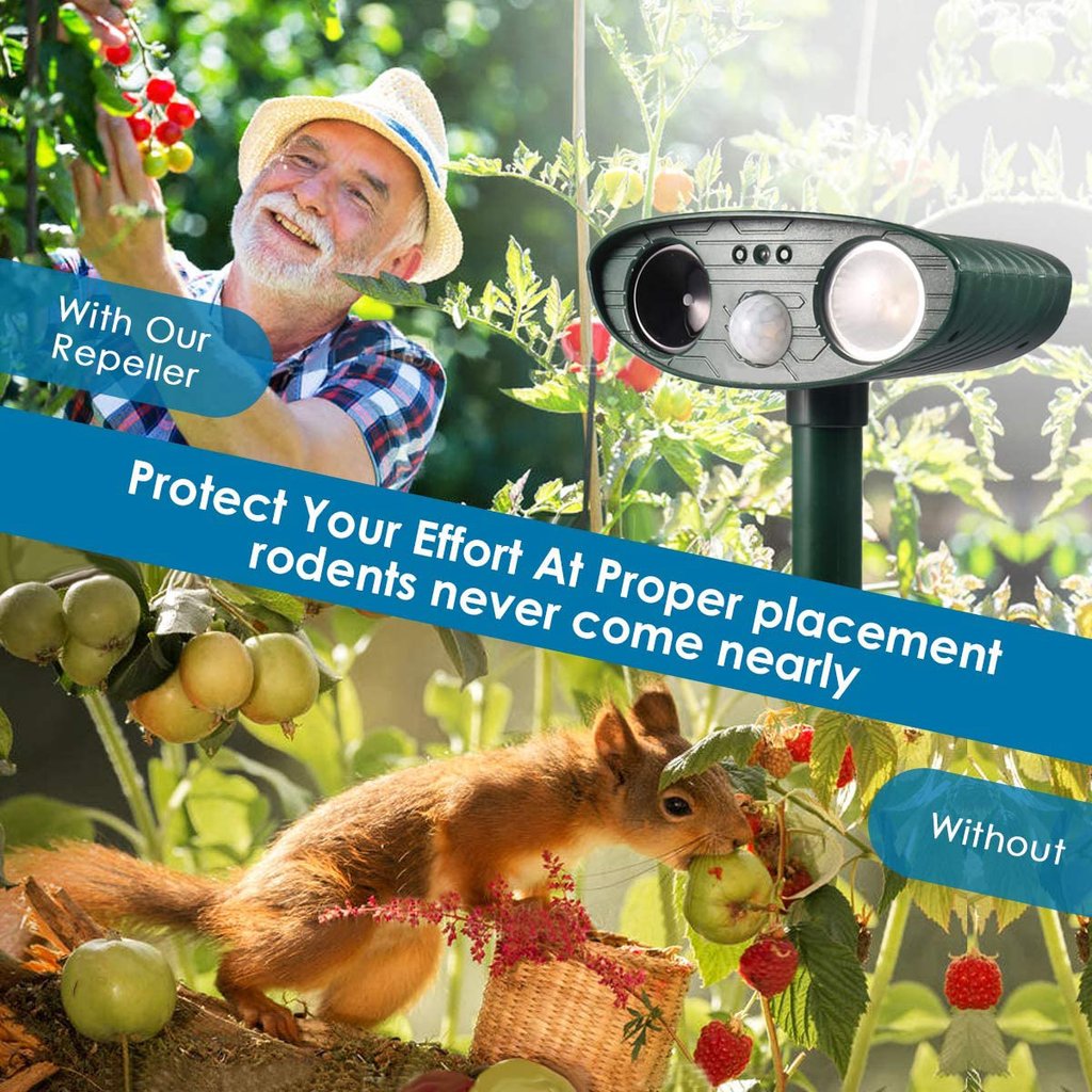 How To Scare Deer Away From Your Garden