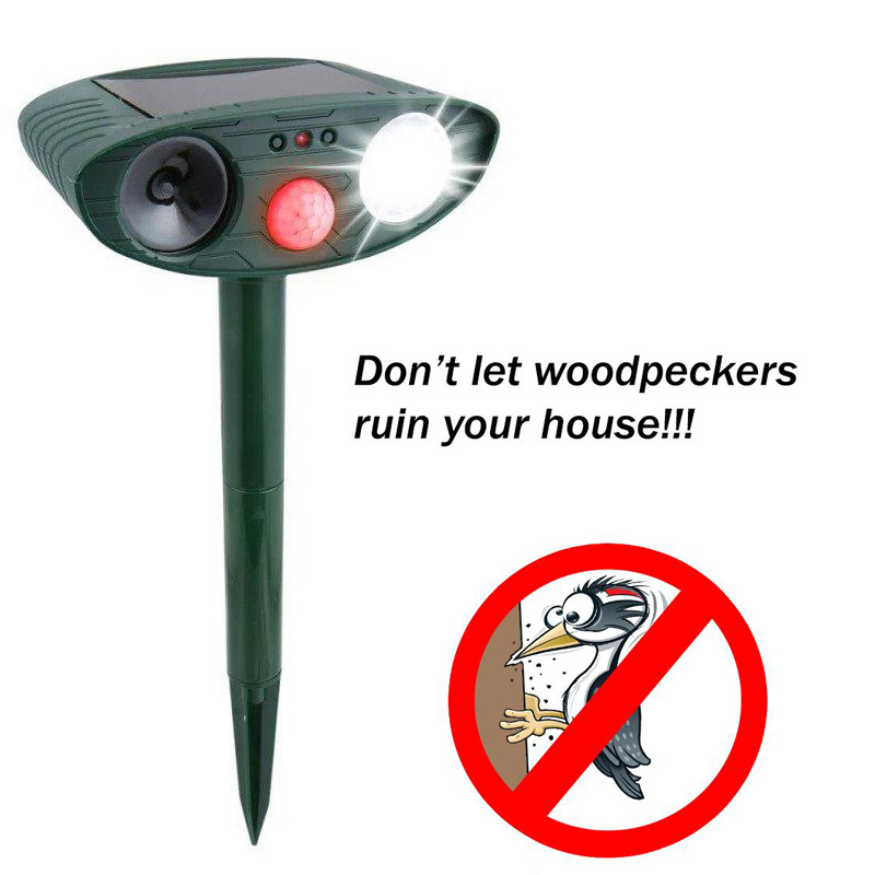 How To Get Rid of Woodpeckers