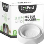 Bed Bug Interceptors