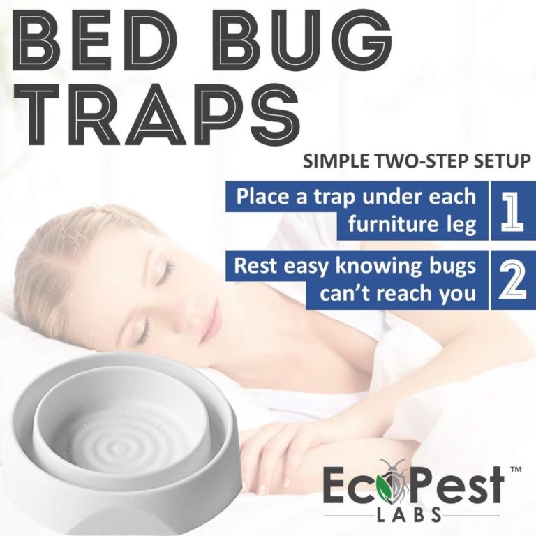 The Best Bed Bug Solution For Your Home Get Rid Of Bed Bugs In 48 2041